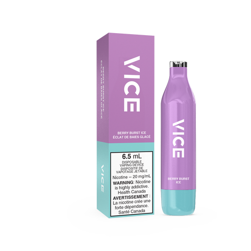 VICE 2500 Disposable